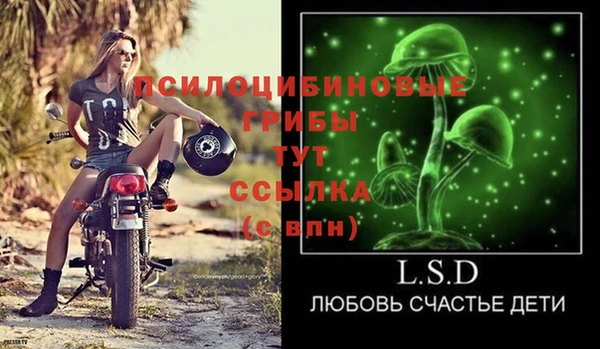 прущий лед Осинники